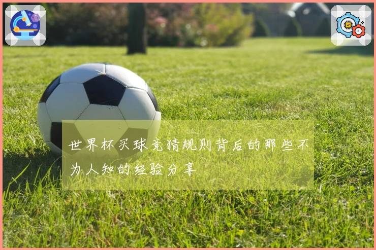 世界杯买球竞猜规则背后的那些不为人知的经验分享