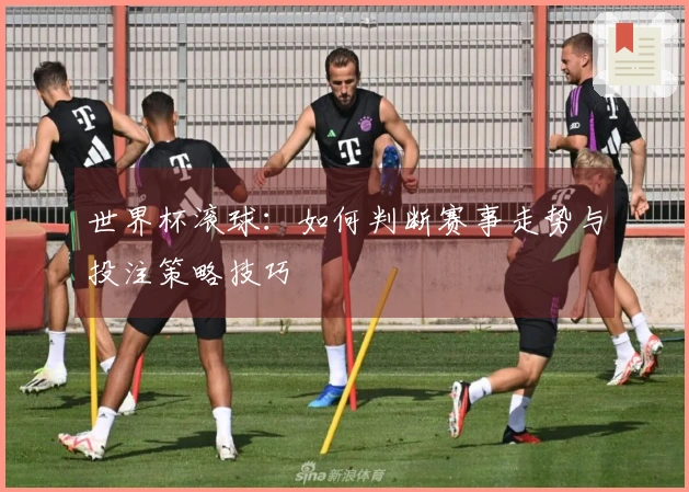 世界杯滚球：如何判断赛事走势与投注策略技巧
