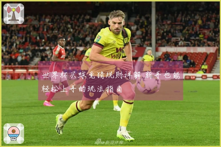 世界杯买球竞猜规则详解 新手也能轻松上手的玩法指南