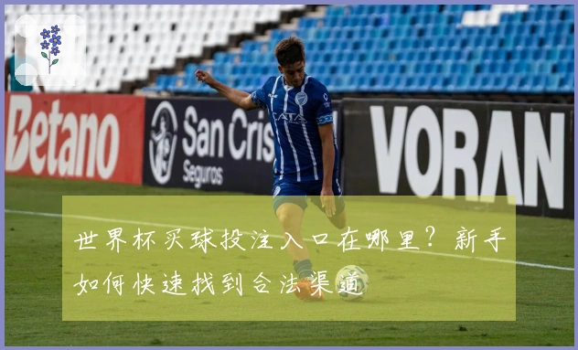 世界杯买球投注入口在哪里？新手如何快速找到合法渠道