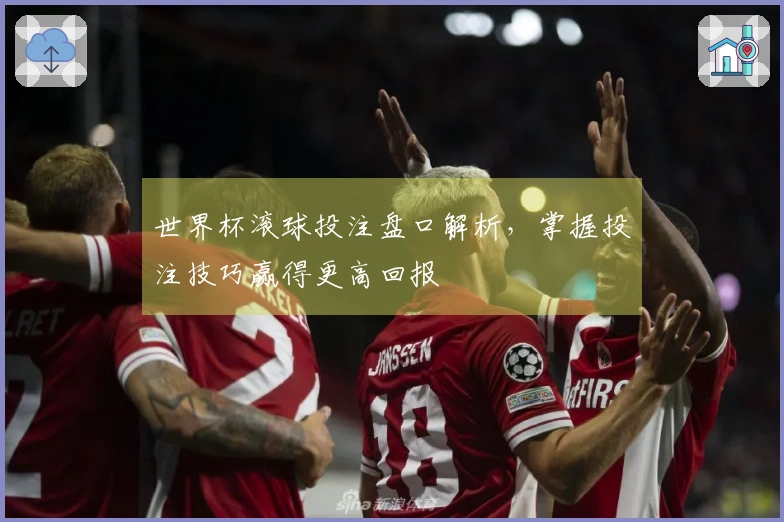 世界杯滚球投注盘口解析，掌握投注技巧赢得更高回报