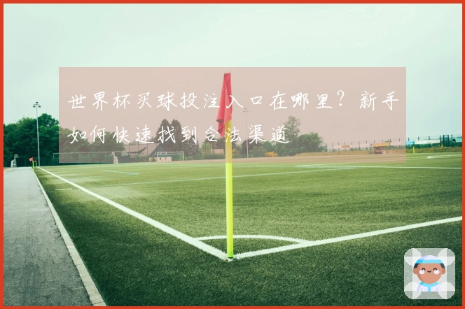 世界杯买球投注入口在哪里？新手如何快速找到合法渠道