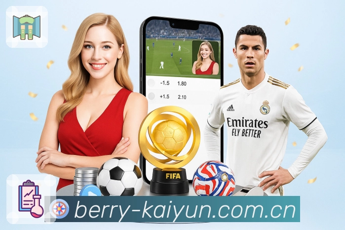 安全保障执行步骤